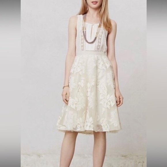 Baraschi Ethereal Romanric Fairy Embroidered Ivory A-Line Tulle Skirt Sz 6 - Picture 3 of 8